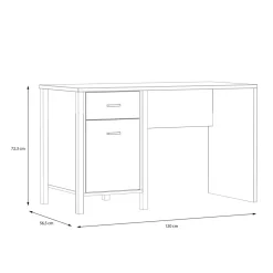 Dzieci FORTE Biurko z szufladą i szafką HIGH ROCK