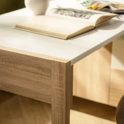 Dzieci FORTE Duże biurko z szufladami i szafką HOYVIK