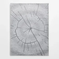 Dywany Z Krótkim Włosiem|inny Dywan wzór plaster drewna szary MIRACLE 160x230 cm