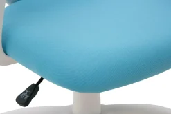 Fotele I Krzesła Do Biurka Dla Dzieci|Fotele Biurowe Dziecięce| Fotel biurowy lamy CACTUSS