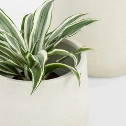 inny Komplet 2 donic białych