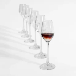 Kieliszki| Komplet 6 kieliszków do likieru WATERFALL 60 ml