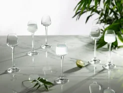 Kieliszki|Bohemia Komplet 6 kieliszków do likieru ANSER