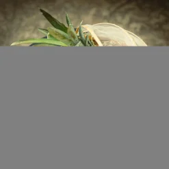 inny Koszyk z moskitierą, bambusowy, 30 cm