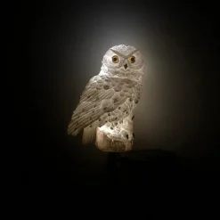 Zumaline Lampa outdoorowa solarna LED IP44 biała SOWA