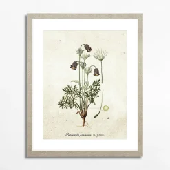 inny Obraz BOTANICAL PLANT II 21x30 cm