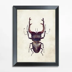 Obrazy I Dekoracje Ścienne| Obraz brązowy owad BEETLE 21x30 cm