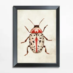 Obrazy I Dekoracje Ścienne| Obraz czerwony owad BEETLE 21x30 cm