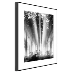 Obrazy I Dekoracje Ścienne| Obraz FOG AND SUN ARTBOX DIGI 50x70 cm