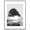 Obraz FOGGY TREE ARTBOX DIGI 50x70 cm