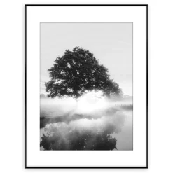 Obraz FOGGY TREE ARTBOX DIGI 50x70 cm