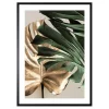 Obraz GOLD MONSTERA I 50x70 cm