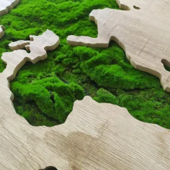 Obrazy I Dekoracje Ścienne|inny Obraz GREEN MAP 70x100 cm