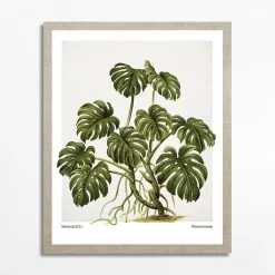 Obrazy I Dekoracje Ścienne|inny Obraz MONSTERA EGZOTIC PLANT 40x50 cm