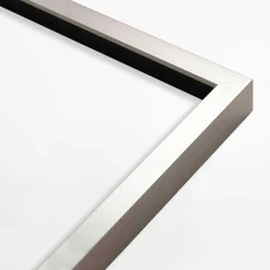 Obrazy I Dekoracje Ścienne| Obraz na ścianę WATER PLANT I 50x70 cm