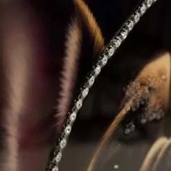 Obrazy I Dekoracje Ścienne|inny Obraz na płótnie PIES I 60x80 cm