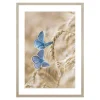 Obraz niebieskie motyle BLUE NATURE II 53x73 cm