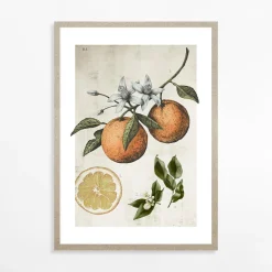 Obrazy I Dekoracje Ścienne|inny Obraz ORANGE LIFE CYCLE 21x30 cm