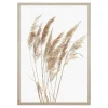 Obrazy I Dekoracje Ścienne| Obraz PAMPAS GRASS I 53x73 cm