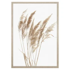 Obrazy I Dekoracje Ścienne| Obraz PAMPAS GRASS I 53x73 cm