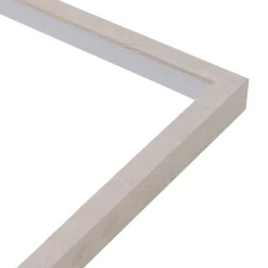 Obraz PAMPAS GRASS II 53x73 cm