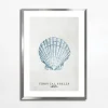 inny Obraz TROPICAL SHELLS II 50x70 cm