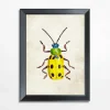 Obrazy I Dekoracje Ścienne| Obraz żółty owad BEETLE 21x30 cm