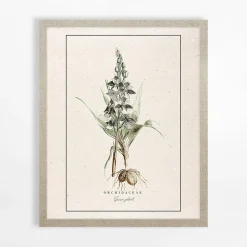 Obraz ze storczykiem BOTANIC 40x50 cm