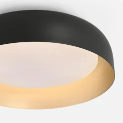 Plafony|Wszystkie Lampy Sufitowe|Paul Neuhaus Plafon LED czarno-złoty OSKO z pilotem fi 40 cm