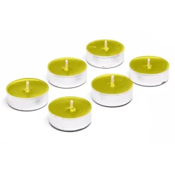 Świece, Świeczniki I Latarenki| Podgrzewacze zapachowe CITRONELLA, 6 szt.