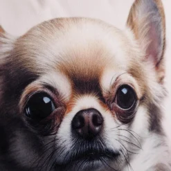 inny Poduszka dekoracyjna PIES chihuahua 50x50 cm