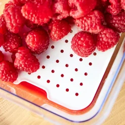 ROTHO Pojemnik na żywność CAUMA 2,15 l