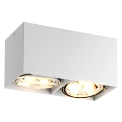 Zumaline Reflektor natynkowy 2-punktowy biały BOX SL 2