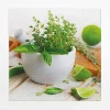 Serwetki I Serwetniki|Paw Serwetki papierowe KITCHEN HERBS 20 szt.