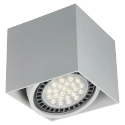 Spoty Natynkowe|Zumaline Spot natynkowy 1-punktowy biały BOX SL 1