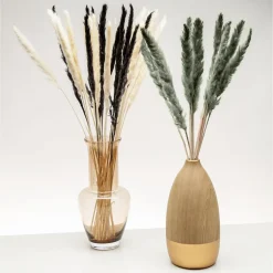 Suszona TRAWA PAMPASOWA 75 cm, 10 szt