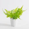 Sztuczne Kwiaty, Rośliny I Gałązki|inny Sztuczna paproć w doniczce 32 cm