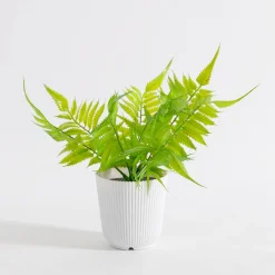 Sztuczne Kwiaty, Rośliny I Gałązki|inny Sztuczna paproć w doniczce 32 cm