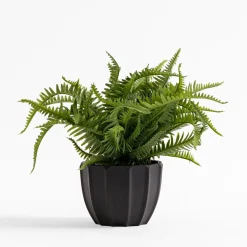 inny Sztuczna paprotka w czarnej doniczce 19 cm