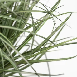 inny Sztuczna trawa w doniczce 35 cm