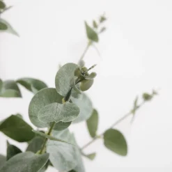 inny Sztuczny kwiat eukaliptus 48 cm