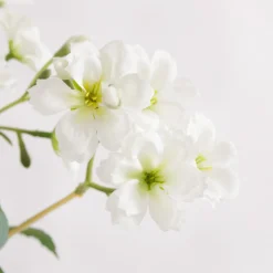 inny Sztuczny kwiat jaśmin biały 88 cm