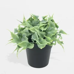 inny Sztuczny kwiat w czarnej doniczce 15 cm