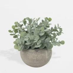 Sztuczne Kwiaty, Rośliny I Gałązki|inny Sztuczny kwiat w doniczce EUKALIPTUS 14 cm