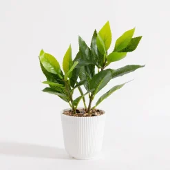 Sztuczne Kwiaty, Rośliny I Gałązki|inny Sztuczny kwiat w doniczce 25 cm