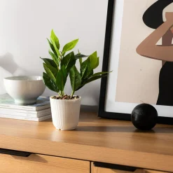 Sztuczne Kwiaty, Rośliny I Gałązki|inny Sztuczny kwiat w doniczce 25 cm