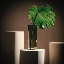 Wazony|Wrześniak Wazon szklany DYMIONY 10,5x30 cm